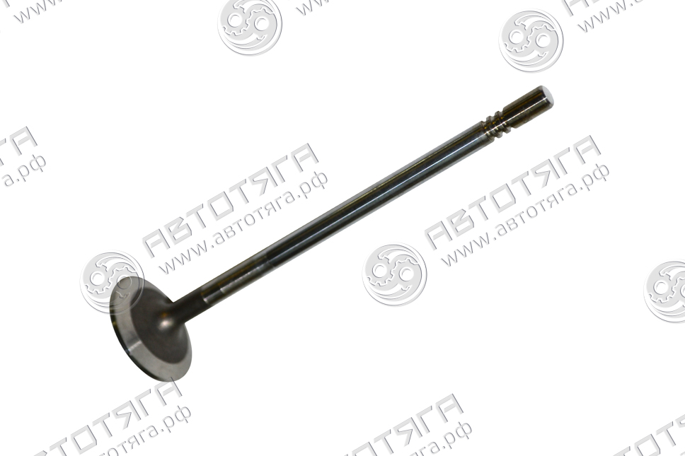 Клапан впускной D4GA/D6GA HD65/78/120/БОГДАН
